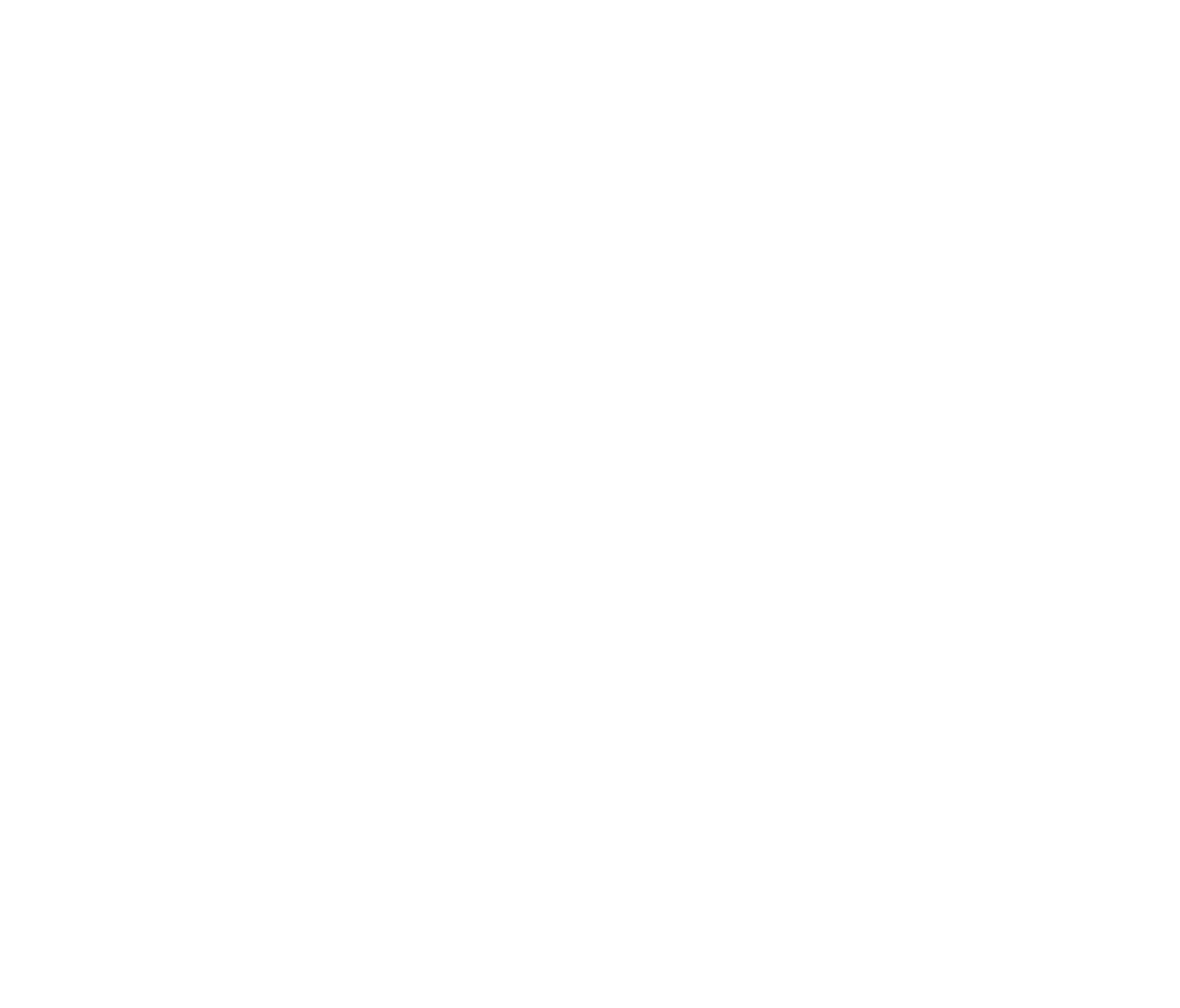 logo light